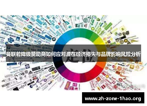 曼联若降级赞助商如何应对潜在经济损失与品牌影响风险分析